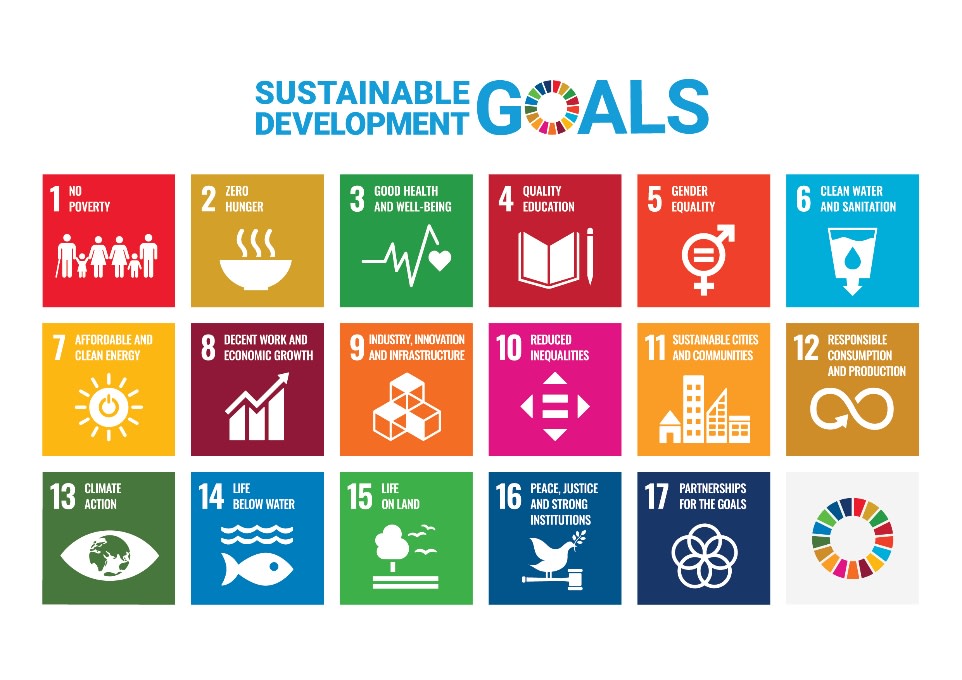 Sustainable Development Goals logo
